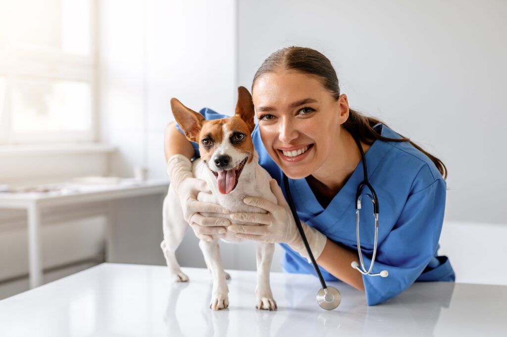 Cane con il veterinario dopo una visita veterinaria